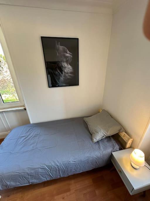Magnifique Appartement F3. 4 A 6 Personnes 吕泰巴克 外观 照片